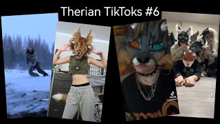 Therian TikTok Compilation 6 [upl. by Germayne]