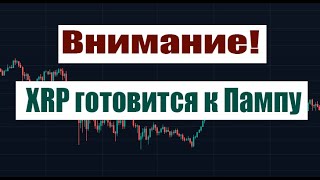 XRP РАСТЕТ И ГОТОВИТСЯ К ПАМПУ [upl. by Yesnyl]