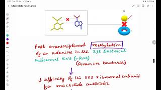 Macrolide Antibiotics Resistance [upl. by Frayne]