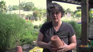 Ancient Irrigation with Diana Kersey [upl. by Jacquelyn]