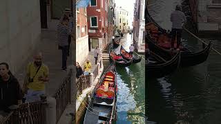 Italy 🇮🇹 short shorts shortvideo shortyoutube travel love venice italy italia europe fun [upl. by Treharne]