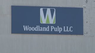 Workers at Woodland Pulp in Baileyville striking again [upl. by Allrud]