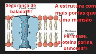 Aula 7  Biologia  Permeabilidade Seletiva Transporte Passivo enem vestibular biologia [upl. by Mayes]