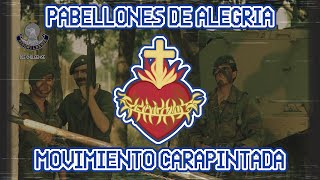 Pabellones de Alegria Cancion Nacionalista Argentina Carapintada [upl. by Acnalb]