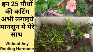 Top 25 Parmanent Plants You Can Grow From Cutting In Rainy Season  Cutting Grown In Monsoon Season [upl. by Ahsonek]