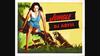 DJ Abyss  3 Hour Ultimate Old Skool Jungle Mix With Tracklist amp Download [upl. by Nuawad777]