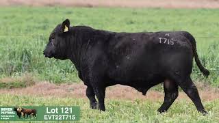 Lot 121 EVT22T715 Peakes Bowen 2024 [upl. by Ivets]