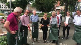 Hopfenpflanzen wachsen in der Einbecker Innenstadt [upl. by Shelah221]