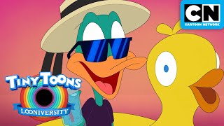 SPECIAL Spring Beak 🐰🌸🌷🌼  Tiny Toons Looniversity  Cartoon Network [upl. by Cuda]