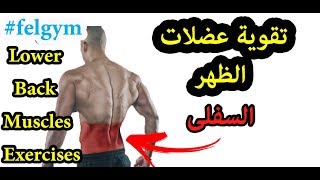 عضلة أسفل الظهر ، تمرينات تقوية العضلة القطنيه للظهر  English lower back muscles exercises [upl. by Mary]