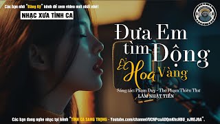 Đưa Em Tìm Động Hoa Vàng Tình Ca Tháng 8  Lâm Nhật Tiến x Phạm Duy x Tình Ca Sang Trọng [upl. by Courtney]