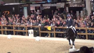 Everdaele kwpn  Den Bos 2014  Carl Hester [upl. by Gnav211]