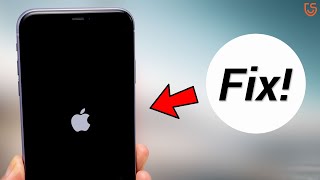 How to Fix iPhone iOS 13 Update Stuck in Boot Loop No Data Loss [upl. by Elleb]