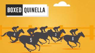 What is a Quinella [upl. by Adnahc]