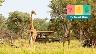 4 Elephant Lodge amp Sebatana Private Reserve  South African Safari [upl. by Casteel]