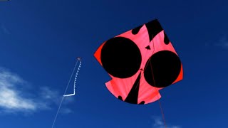 Kite Flying GamePipa Combat 3D by KitesSeason [upl. by Ximenes]