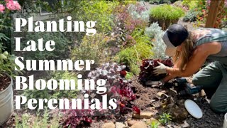 Planting Perennials for Late Summer and Easy Propagation of Sedum  Heuchera Coreopsis and Yarrow [upl. by Sankey]