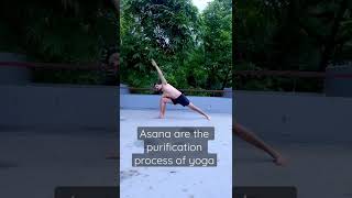 Ashtanga Vinyasa  Asana sequence  prashantjyoga [upl. by Arekat]