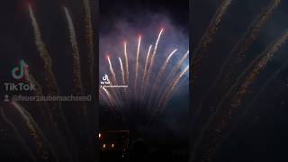 Pyrogames Dresden 2 Pyrotechniker1fireworksdresdenfeuerwerkfirecracker [upl. by Bobette230]