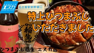 ひつまぶし稲生【Hitsumabushi】名古屋エスカで名物グルメを食べてきました [upl. by Cottle]