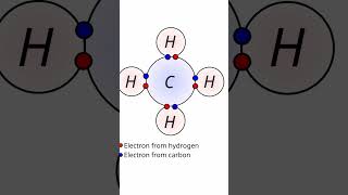 Nucleons Can Have VALANCE SHELLS science physics nuclear [upl. by Dadelos]