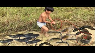 Net Fishing At Kompong Chhnang Province  Net Fishing Cambodia  Old Traditional in Khmer  7 [upl. by Pierrette796]