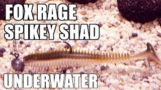 Fox Rage Spikey Shad Lure action Underwater Full HD [upl. by Anitsuj859]