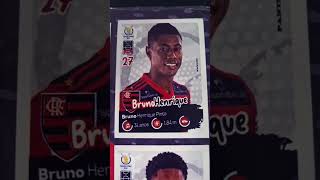 FLAMENGO BRASILEIRÃO 2021 PANINI ÁLBUM [upl. by Coussoule51]