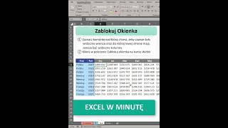 Excel w minutę 16  Zablokuj wiersze i kolumny polecenie zablokuj okienka [upl. by Kosey]