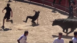 1º Encierro de toros FISTAS EL MOLAR 10052024 [upl. by Ahsennek]