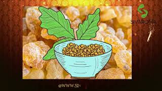 Sivaroma Boswellia Serrata Extract [upl. by Elletnwahs]