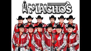 Banda Machos  Sangre de Indio [upl. by Licna]