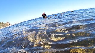 Diving for Crayfish South Africa [upl. by Suirtemid416]