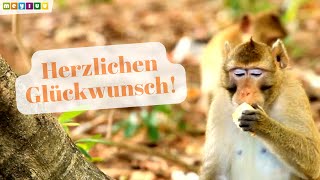 Herzlichen Glückwunsch zum Geburtstag 🎂  Tierische Geburtstagsgrüße für dich 🎵 [upl. by Joana]