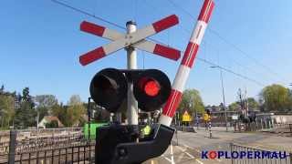 Dutch intercity at railroad crossing [upl. by Mar]