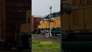 Albany and Eastern Railroad 250 train reel [upl. by Mcgannon]