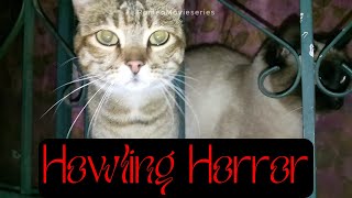 Howling Horror A Furry Familys Fright Movie  RomeoMovieseries [upl. by Ellehcen]