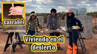 132 NOS SALIO UNA VÍBORA DE CASCABEL🔥COMENZAMOS CON LAS ZANJAS🌵rancho desierto vlog [upl. by Erodroeht]