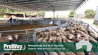 ProWay Sheepyards and Bulk Handler  Superior Wool Merinos Tintinara SA [upl. by Nobell]