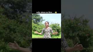 musicmarathimarathistatus viral art maharashtra quiz mummycomedy trending short instagram [upl. by Hesoj]