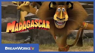 Madagascar trailer [upl. by Jump]