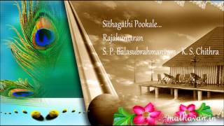 Sithagathi Pookale  Rajakumaran  S P B  K S Chithra [upl. by Yerkovich]