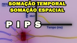 Somação PIPS  Potencial Excitatório Pós Sináptico [upl. by Noreg]