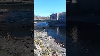 Fly fishing for Salmon and Trout in Warertown NY [upl. by Talbert]