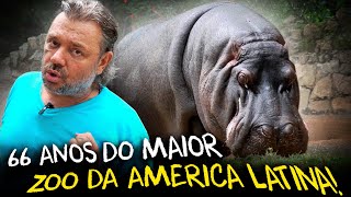 DESCUBRINDO AS MARAVILHAS DO ZOOLÓGICO DE SÃO PAULO EM SEU ANIVERSÁRIO DE 66 ANOS [upl. by Erusaert]