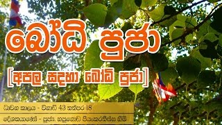 Bodhi Poojawa Kavi Gatha  Buddhist Puja Chantings By Hapugoda Priyankara Thissa Thero [upl. by Slerahc]