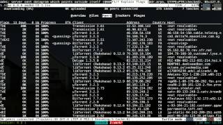 Transmission Remote CLI  Ncurses Interface  Linux TUI [upl. by Eirrol]