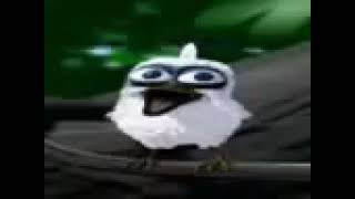 screaming bird earrape [upl. by Ahsenet]