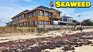 SEAWEED OVERRUN ABERDEEN AND LUMLEY BEACH 🇸🇱 VLog 2024  Explore With TripleA [upl. by Edme]