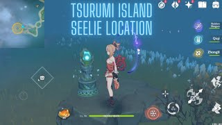 Tsurumi Island Seelie Location  Genshin Impact 22 Puzzle [upl. by Berke]